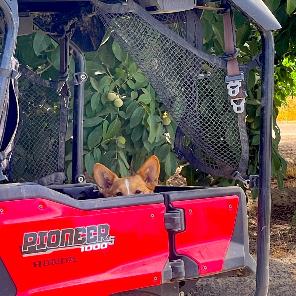 Meet your Posher, Stephanie